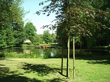 Das Foto zeigt den Emmasee im angrenzenden Bürgerpark
