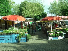 Der Findorff-Markt