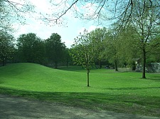 Das Foto zeigt einen Blick in den Waller Park