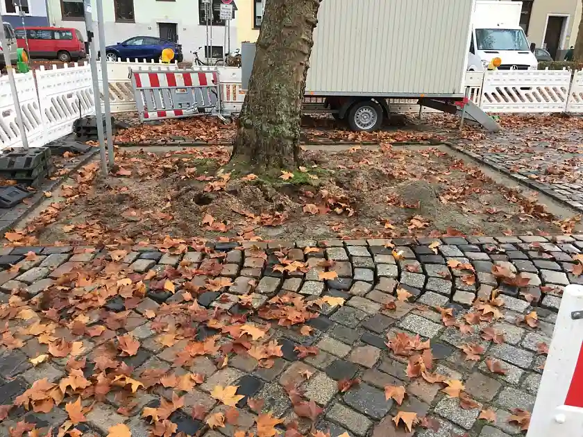Ergebnis der Erweiterung der Baumscheibe an einem Baum auf dem Findorffmarkt